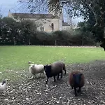 فندق مبيت وإفطار Le Clos Du Gorion - D'hote Saint-Sulpice-et-Cameyrac